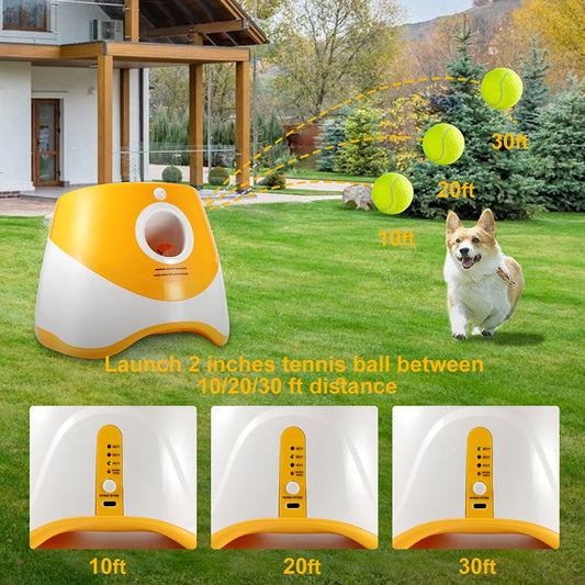 FetchPro™ Automatic Dog Ball Launcher - IVY DUCK